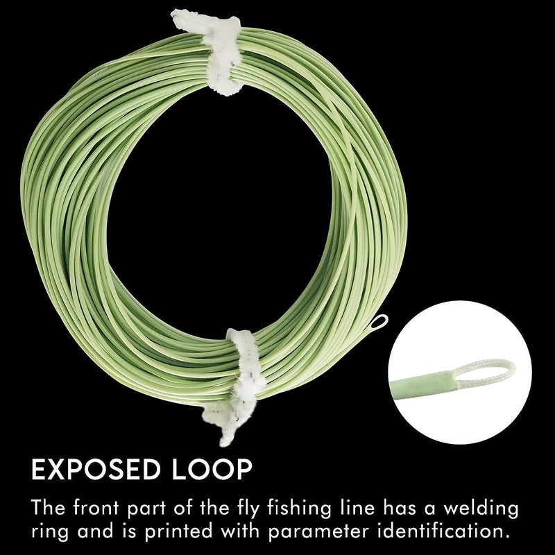 Riverruns Fly Fishing Floating Line with Welded Loop Weight Forward Fly Lines 85FT WF4 5 6 7F (Single Moss Green, WF5F) - Image 4